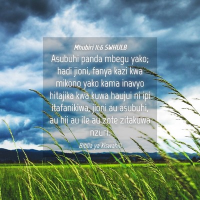 Picture 04 - Mhubiri 11:6 SWHULB - Asubuhi panda mbegu yako; hadi jioni, fanya kazi - Bible Verse Picture