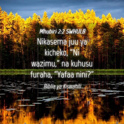 Picture 04 - Mhubiri 2:2 SWHULB - Nikasema juu ya kicheko, “Ni wazimu,” na - Bible Verse Picture