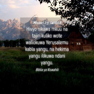 Picture 04 - Mhubiri 2:9 SWHULB - Hivyo nikawa mkuu na tajiri kuliko wote waliokuwa - Bible Verse Picture