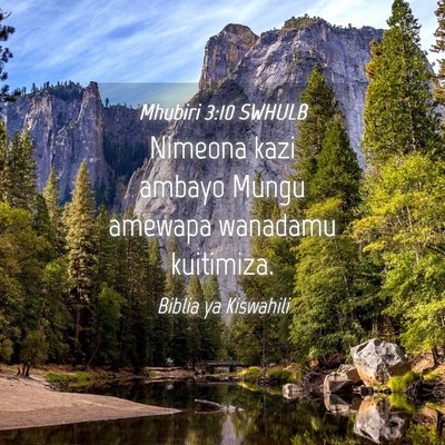 Picture 04 - Mhubiri 3:10 SWHULB - Nimeona kazi ambayo Mungu amewapa wanadamu - Bible Verse Picture