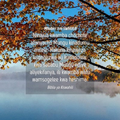 Picture 04 - Mhubiri 3:14 SWHULB - Ninajua kwamba chochote afanyacho Mungu kinadumu - Bible Verse Picture