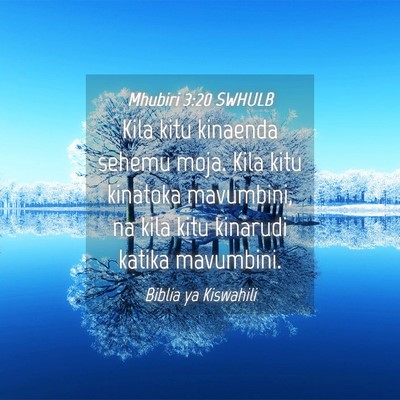 Picture 04 - Mhubiri 3:20 SWHULB - Kila kitu kinaenda sehemu moja. Kila kitu - Bible Verse Picture