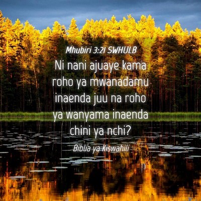 Picture 04 - Mhubiri 3:21 SWHULB - Ni nani ajuaye kama roho ya mwanadamu inaenda juu - Bible Verse Picture
