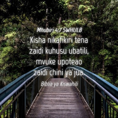 Picture 04 - Mhubiri 4:7 SWHULB - Kisha nikafikiri tena zaidi kuhusu ubatili, mvuke - Bible Verse Picture