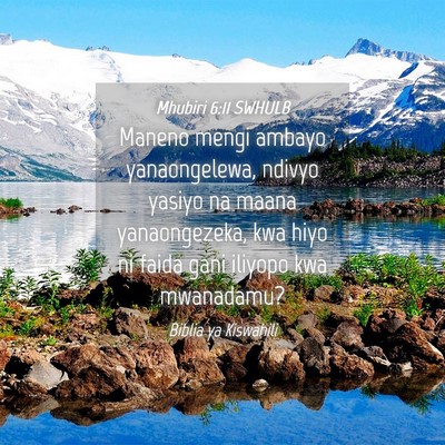 Picture 04 - Mhubiri 6:11 SWHULB - Maneno mengi ambayo yanaongelewa, ndivyo yasiyo - Bible Verse Picture