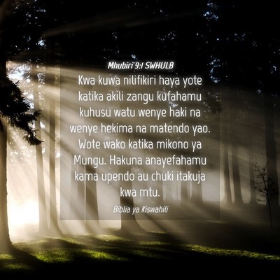 Picture 04 - Mhubiri 9:1 SWHULB - Kwa kuwa nilifikiri haya yote katika akili zangu - Bible Verse Picture