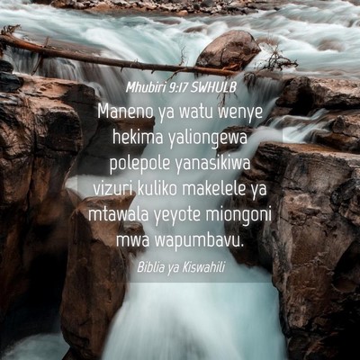 Picture 04 - Mhubiri 9:17 SWHULB - Maneno ya watu wenye hekima yaliongewa polepole - Bible Verse Picture