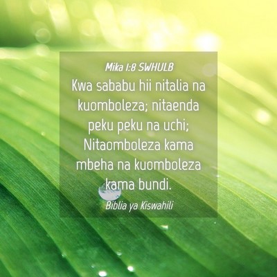 Picture 04 - Mika 1:8 SWHULB - Kwa sababu hii nitalia na kuomboleza; nitaenda - Bible Verse Picture