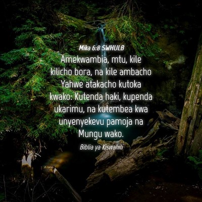 Picture 04 - Mika 6:8 SWHULB - Amekwambia, mtu, kile kilicho bora, na kile - Bible Verse Picture