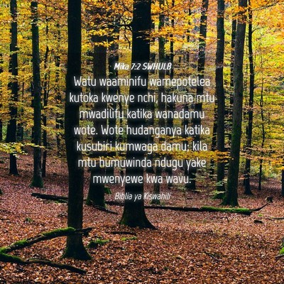 Picture 04 - Mika 7:2 SWHULB - Watu waaminifu wamepotelea kutoka kwenye nchi, - Bible Verse Picture