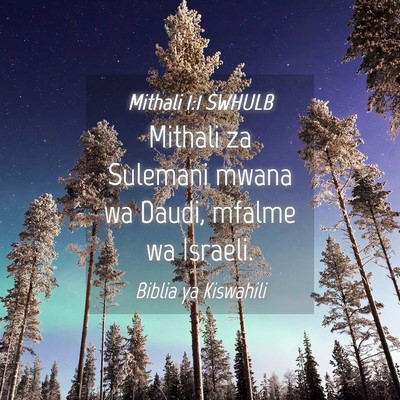 Picture 04 - Mithali 1:1 SWHULB - Mithali za Sulemani mwana wa Daudi, mfalme wa - Bible Verse Picture