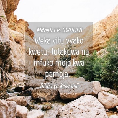Picture 04 - Mithali 1:14 SWHULB - Weka vitu vyako kwetu; tutakuwa na mfuko moja kwa - Bible Verse Picture