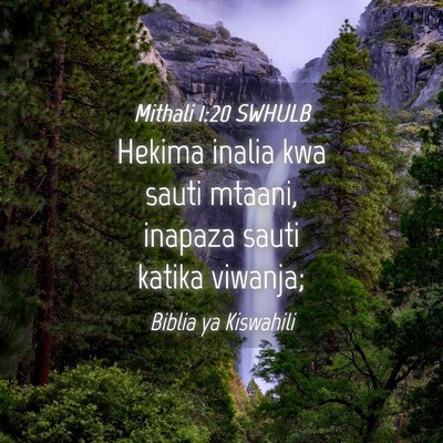 Picture 04 - Mithali 1:20 SWHULB - Hekima inalia kwa sauti mtaani, inapaza sauti - Bible Verse Picture