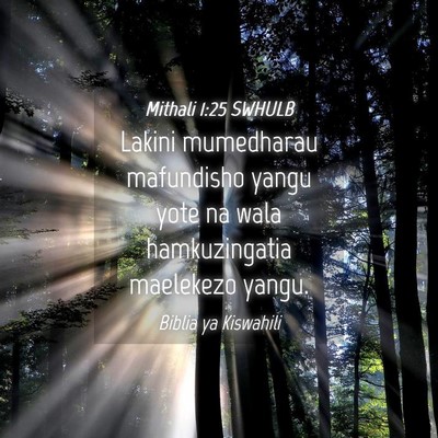 Picture 04 - Mithali 1:25 SWHULB - Lakini mumedharau mafundisho yangu yote na wala - Bible Verse Picture