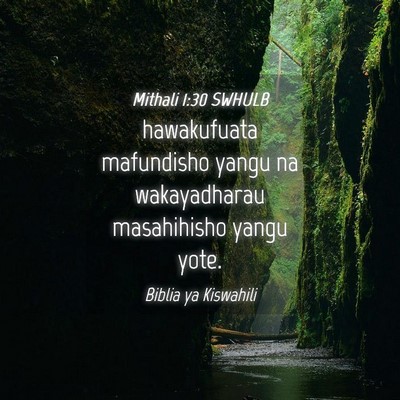 Picture 04 - Mithali 1:30 SWHULB - hawakufuata mafundisho yangu na wakayadharau - Bible Verse Picture