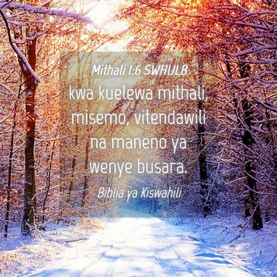 Picture 04 - Mithali 1:6 SWHULB - kwa kuelewa mithali, misemo, vitendawili na - Bible Verse Picture