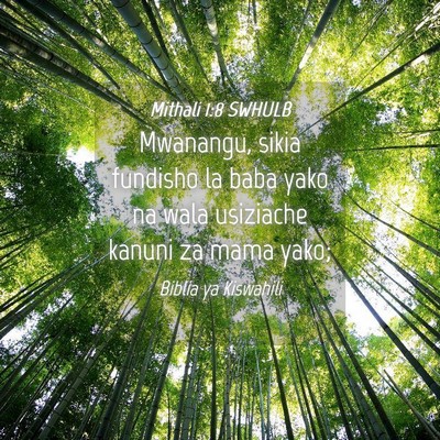Picture 04 - Mithali 1:8 SWHULB - Mwanangu, sikia fundisho la baba yako na wala - Bible Verse Picture