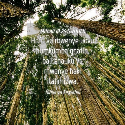 Picture 04 - Mithali 10:24 SWHULB - Hofu ya mwenye uovu humkumba ghafla, bali shauku - Bible Verse Picture