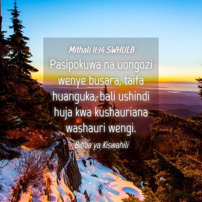 Picture 04 - Mithali 11:14 SWHULB - Pasipokuwa na uongozi wenye busara, taifa - Bible Verse Picture