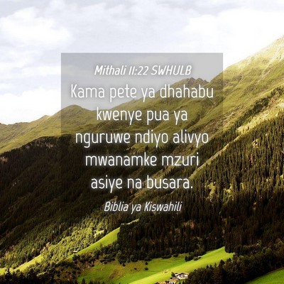 Picture 04 - Mithali 11:22 SWHULB - Kama pete ya dhahabu kwenye pua ya nguruwe ndiyo - Bible Verse Picture