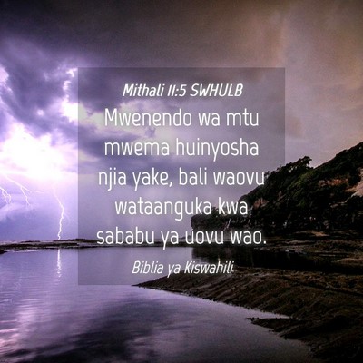 Picture 04 - Mithali 11:5 SWHULB - Mwenendo wa mtu mwema huinyosha njia yake, bali - Bible Verse Picture