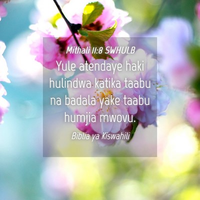 Picture 04 - Mithali 11:8 SWHULB - Yule atendaye haki hulindwa katika taabu na - Bible Verse Picture