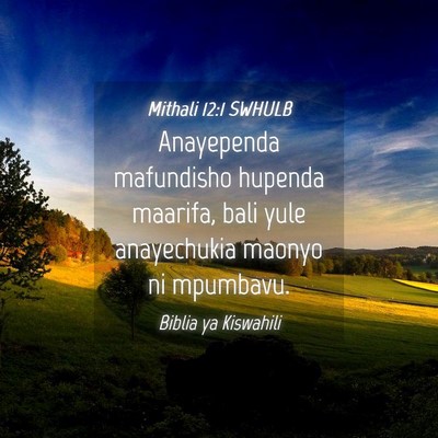Picture 04 - Mithali 12:1 SWHULB - Anayependa mafundisho hupenda maarifa, bali yule - Bible Verse Picture