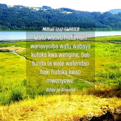 Picture 04 - Mithali 12:12 SWHULB - Watu waovu hutamani wanavyoiba watu wabaya kutoka - Bible Verse Picture