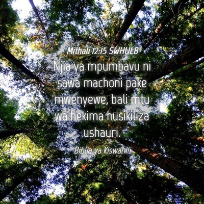 Picture 04 - Mithali 12:15 SWHULB - Njia ya mpumbavu ni sawa machoni pake mwenyewe, - Bible Verse Picture