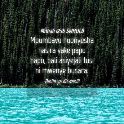 Picture 04 - Mithali 12:16 SWHULB - Mpumbavu huonyesha hasira yake papo hapo, bali - Bible Verse Picture