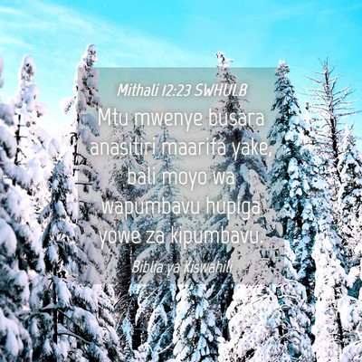 Picture 04 - Mithali 12:23 SWHULB - Mtu mwenye busara anasitiri maarifa yake, bali - Bible Verse Picture