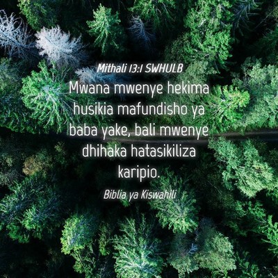 Picture 04 - Mithali 13:1 SWHULB - Mwana mwenye hekima husikia mafundisho ya baba - Bible Verse Picture