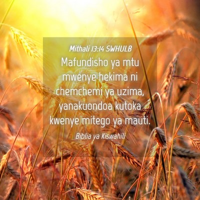 Picture 04 - Mithali 13:14 SWHULB - Mafundisho ya mtu mwenye hekima ni chemchemi ya - Bible Verse Picture