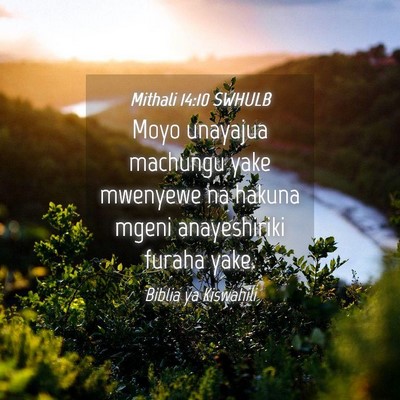Picture 04 - Mithali 14:10 SWHULB - Moyo unayajua machungu yake mwenyewe na hakuna - Bible Verse Picture