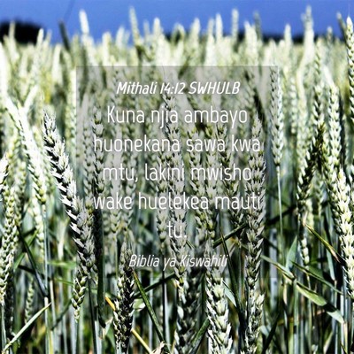 Picture 04 - Mithali 14:12 SWHULB - Kuna njia ambayo huonekana sawa kwa mtu, lakini - Bible Verse Picture