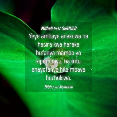 Picture 04 - Mithali 14:17 SWHULB - Yeye ambaye anakuwa na hasira kwa haraka hufanya - Bible Verse Picture