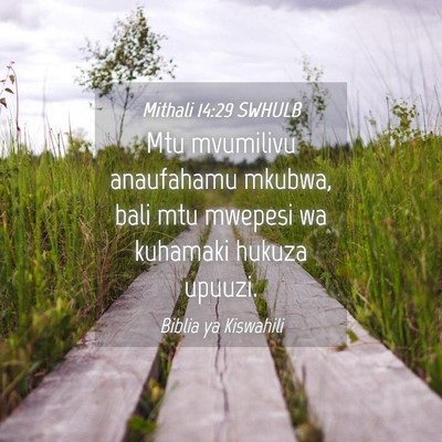 Picture 04 - Mithali 14:29 SWHULB - Mtu mvumilivu anaufahamu mkubwa, bali mtu mwepesi - Bible Verse Picture