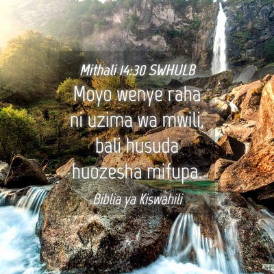 Picture 04 - Mithali 14:30 SWHULB - Moyo wenye raha ni uzima wa mwili, bali husuda - Bible Verse Picture