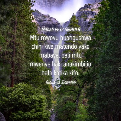 Picture 04 - Mithali 14:32 SWHULB - Mtu mwovu huangushwa chini kwa matendo yake - Bible Verse Picture