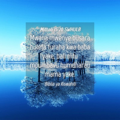 Picture 04 - Mithali 15:20 SWHULB - Mwana mwenye busara huleta furaha kwa baba yake, - Bible Verse Picture
