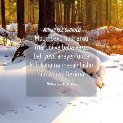 Picture 04 - Mithali 15:5 SWHULB - Mpumbavu hudharau marudi ya baba yake, bali yeye - Bible Verse Picture