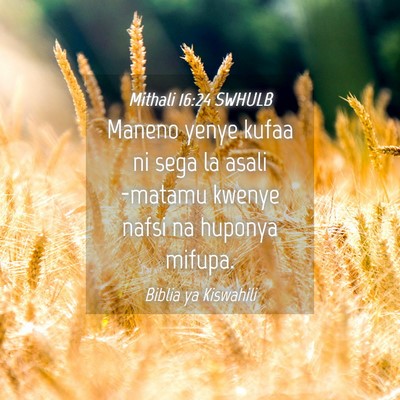 Picture 04 - Mithali 16:24 SWHULB - Maneno yenye kufaa ni sega la asali -matamu - Bible Verse Picture