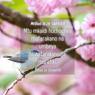 Picture 04 - Mithali 16:28 SWHULB - Mtu mkaidi huchochea mafarakano na umbeya - Bible Verse Picture