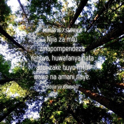 Picture 04 - Mithali 16:7 SWHULB - Njia za mtu zinapompendeza Yehova, huwafanya hata - Bible Verse Picture