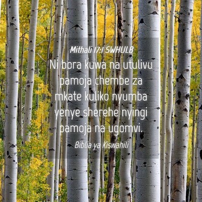 Picture 04 - Mithali 17:1 SWHULB - Ni bora kuwa na utulivu pamoja chembe za mkate - Bible Verse Picture