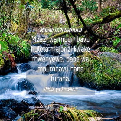 Picture 04 - Mithali 17:21 SWHULB - Mzazi wa mpumbavu huleta majonzi kwake mwenyewe; - Bible Verse Picture