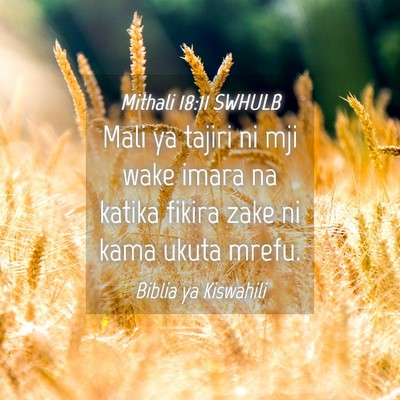 Picture 04 - Mithali 18:11 SWHULB - Mali ya tajiri ni mji wake imara na katika fikira - Bible Verse Picture