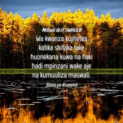 Picture 04 - Mithali 18:17 SWHULB - Wa kwanza kujitetea katika shitaka lake huonekana - Bible Verse Picture