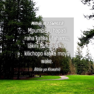 Picture 04 - Mithali 18:2 SWHULB - Mpumbavu hapati raha katika ufahamu, lakini - Bible Verse Picture