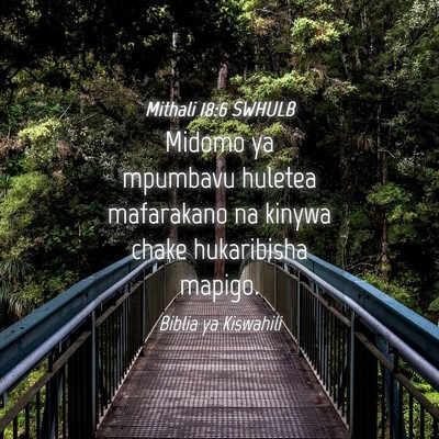 Picture 04 - Mithali 18:6 SWHULB - Midomo ya mpumbavu huletea mafarakano na kinywa - Bible Verse Picture